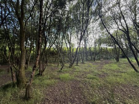 1 bedroom Plot for sale in North side of A4093, Tonyrefail, CF39