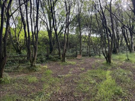 1 bedroom Plot for sale in North side of A4093, Tonyrefail, CF39