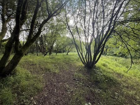 1 bedroom Plot for sale in North side of A4093, Tonyrefail, CF39