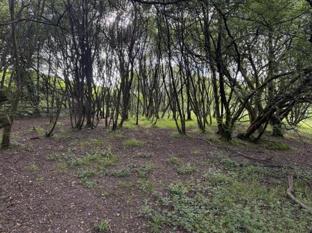 1 bedroom Plot for sale in North side of A4093, Tonyrefail, CF39