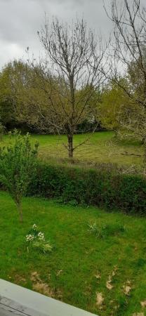 1 bedroom Flat to let in Brockington's Road, Whimple, Exeter, EX5