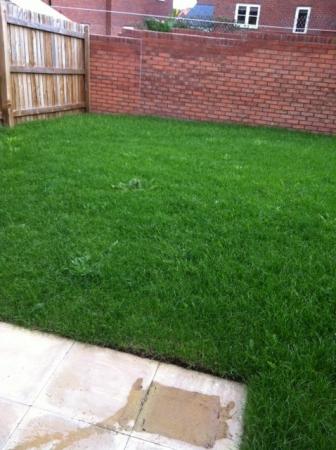 2 bedroom Semi-detached house to let in Post Coach Way, Cranbrook, EX5