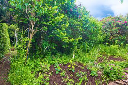 3 bedroom Semi-detached house for sale in Estcourt Road, Gloucester, GL1