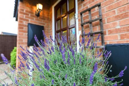 Miller Close, Longlevens, Gloucester, GL2