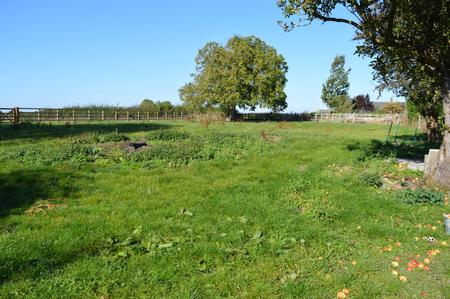 4 bedroom Farm House to let in Woolsthorpe Lane, Muston, NG13