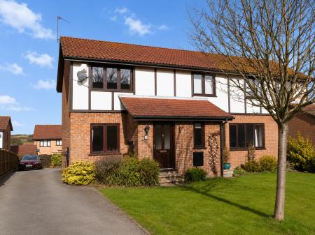 Bluebell Meadow, Harrogate, HG3
