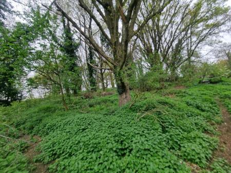 0 bedroom Land (Commercial) for sale in Hyams Lane, Holbrook, IP9