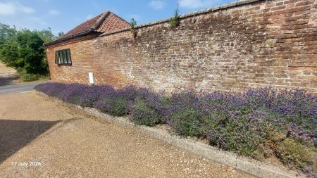 4 bedroom Barn Conversion to let in Nethergate St, Harpley, King's Lynn, PE31
