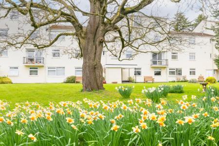 Northumberland Road, Leamington Spa