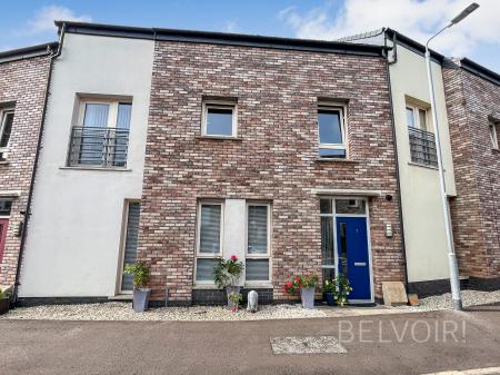 Badgers Lane, Lisburn, BT28