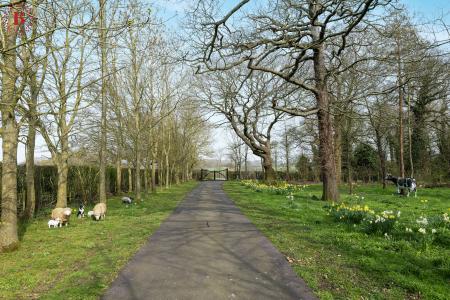 5 bedroom Detached house for sale in Windmerpool Lane, Willoughby On-The-Wolds, LE12