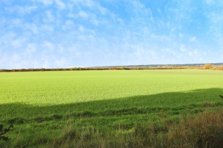 4 bedroom Bungalow for sale in Raffin Close, Datchworth, SG3