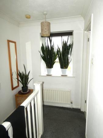 1 bedroom Flat to let in Lucas Close, Irthlingborough, NN9