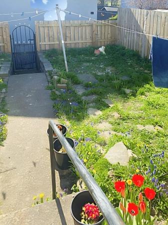 3 bedroom Semi-detached house to let in Camperdown Road, West Denton, Newcastle Upon Tyne, NE5