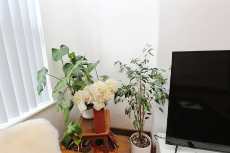 3 bedroom Semi-detached house for sale in Bennett Street, Long Eaton, Long Eaton, NG10