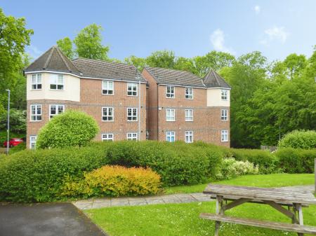 Hackwood Glade, Hexham, NE46