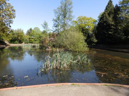 1 bedroom Flat to let in Silverdale Road, Tunbridge Wells, TN4