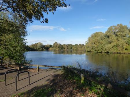 1 bedroom Flat to let in Pool View, Telford, TF4