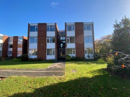 Martin Lane, Rugby, CV22