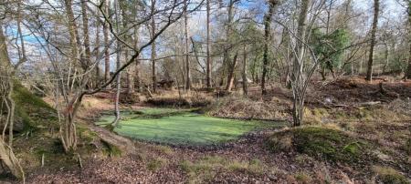 0 bedroom Plot for sale in Hook Road, Hook, RG27