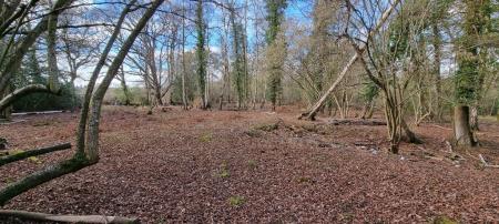 0 bedroom Plot for sale in Hook Road, Hook, RG27