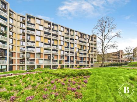 Lord Mews, Pat Midgeley Lane, Sheffield, S2