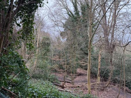 1 bedroom Studio flat to let in Spinney Gardens, London, SE19