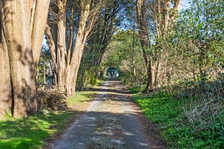 4 bedroom Semi-detached house for sale in Higher Lane, Langland, Swansea, SA3