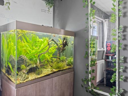 4 bedroom Semi-detached house for sale in Blakemore Drive, Sutton Coldfield, B75