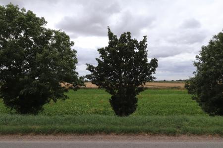 3 bedroom Detached house for sale in Barrier Bank, Cowbit, PE12