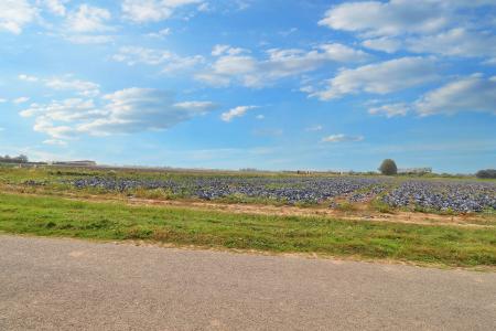 2 bedroom Detached house for sale in Branches Lane, Fleet, PE12