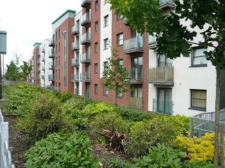 Lower Hall Street