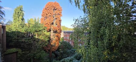 1 bedroom Flat to let in Manor Road, Sutton Coldfield, Sutton Coldfield, B73