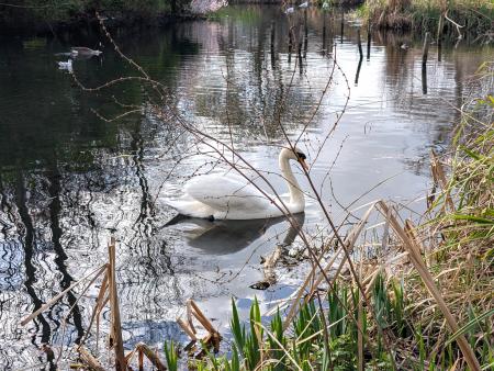 3 bedroom Terraced House to let in Sweet Briars Walk, Edmonton, London, N18