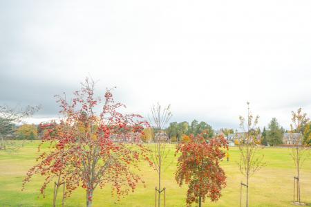 2 bedroom Flat for sale in Viewfield, Charlestown Road, Aboyne, AB34