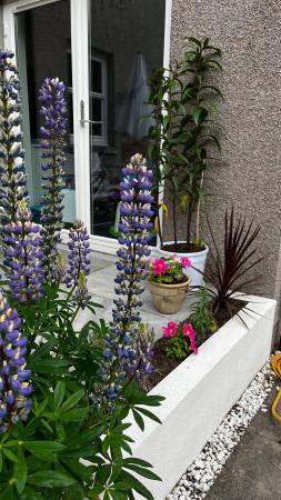 3 bedroom Semi-detached house to let in Beech Tree Road, Banchory, AB31