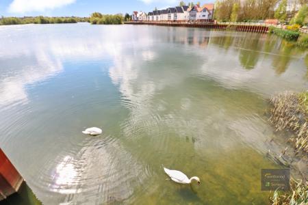 3 bedroom Link detached house for sale in Pochard Drive, Conningbrook Lakes, Ashford, TN24