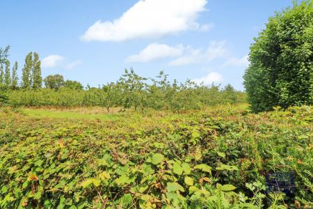 3 bedroom Detached house to let in Wye Road, Boughton Aluph, TN25