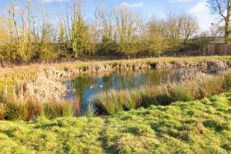 4 bedroom Town house for sale in Campion Close, Ashford, TN25