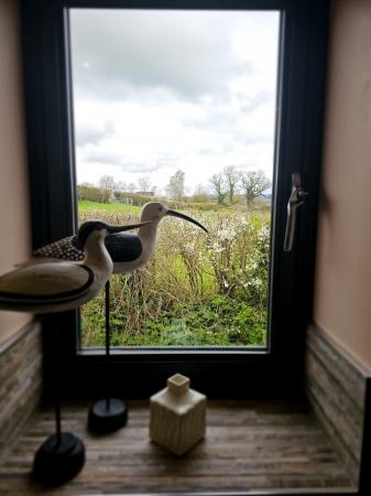 1 bedroom Barn Conversion to let in Cheddar Road, Cocklake, BS28