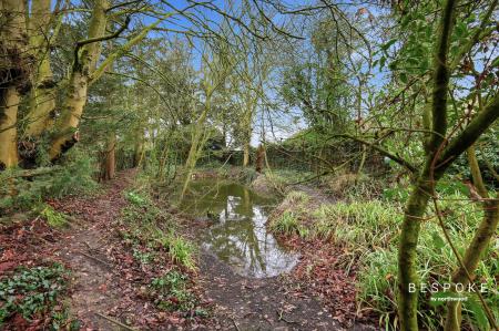 3 bedroom Detached bungalow for sale in Paradise Road, Writtle, CM1