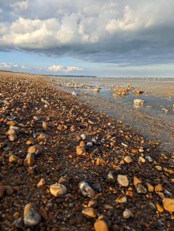 2 bedroom Flat to let in Collier Road, Pevensey Bay, BN24