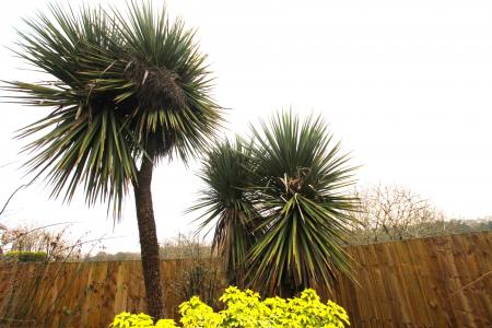 3 bedroom Detached house for sale in Tolsta Crescent, Polmont, FK2