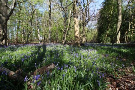 1 bedroom Flat for sale in Cryers Hill, High Wycombe, HP15