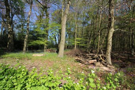 1 bedroom Flat for sale in Cryers Hill, High Wycombe, HP15