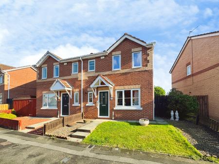 Angus Crescent, North Shields, North Shields, NE29