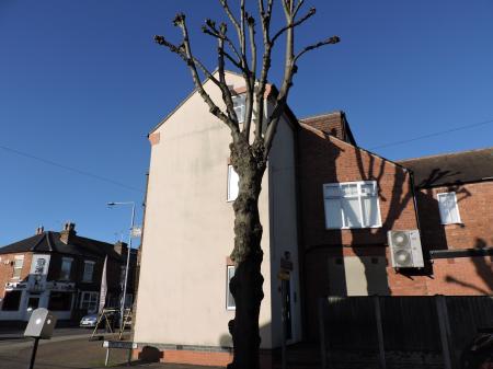 0 bedroom Studio flat to let in Wollaton Road, Beeston, NG9