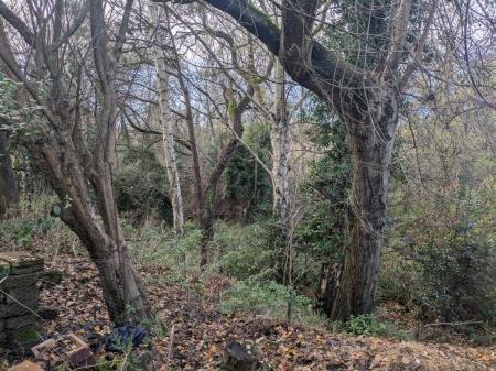 3 bedroom Semi-detached house for sale in Lye Valley, Oxford, OX3