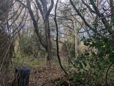 3 bedroom Semi-detached house for sale in Lye Valley, Oxford, OX3