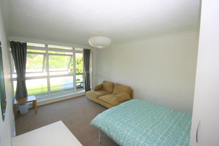 1 bedroom Studio flat to let in Hamilton Road, Reading, RG1